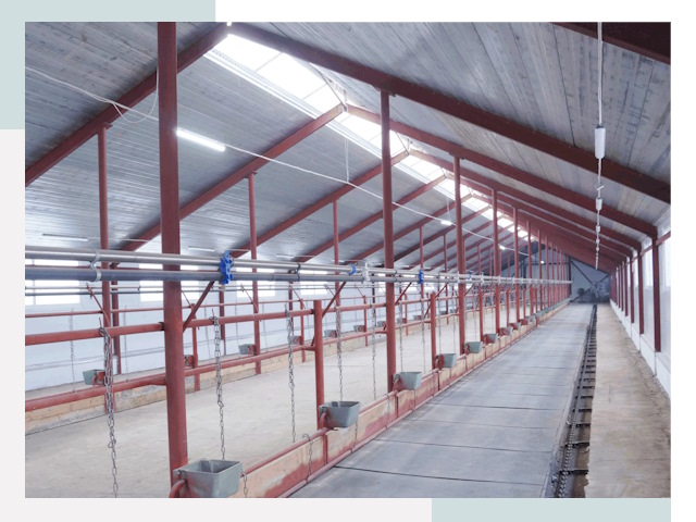 Строительство коровников в Перми от 643 руб.