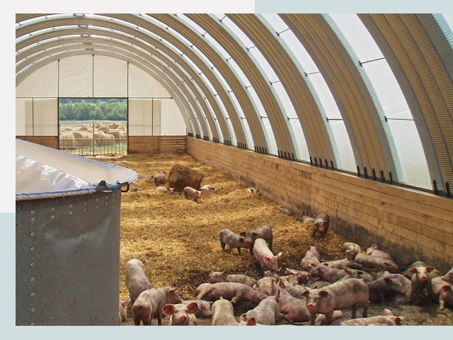 Строительство свинарников в Перми