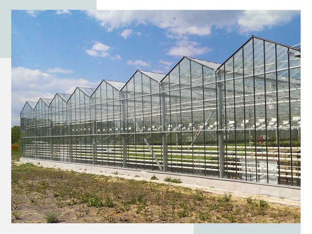 Строительство теплиц в Пермь от 643 руб. за м²