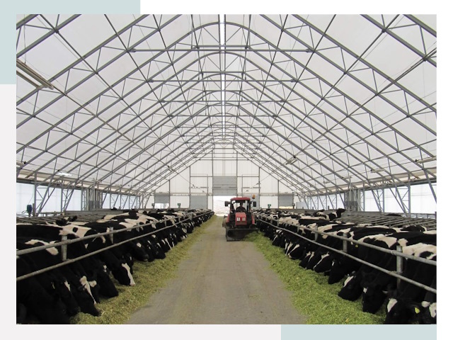 Тентовые коровники в Перми от 643 руб. - Надежно и доступно