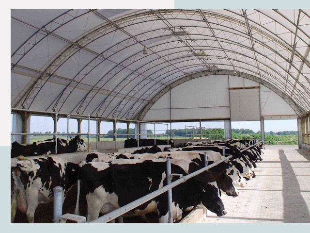 Тентовые коровники в Перми